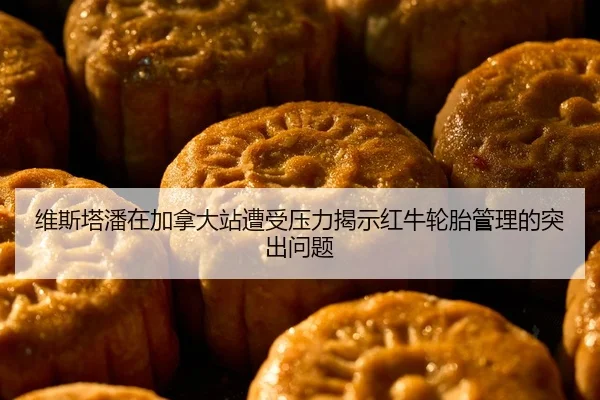 维斯塔潘在加拿大站遭受压力揭示红牛轮胎管理的突出问题