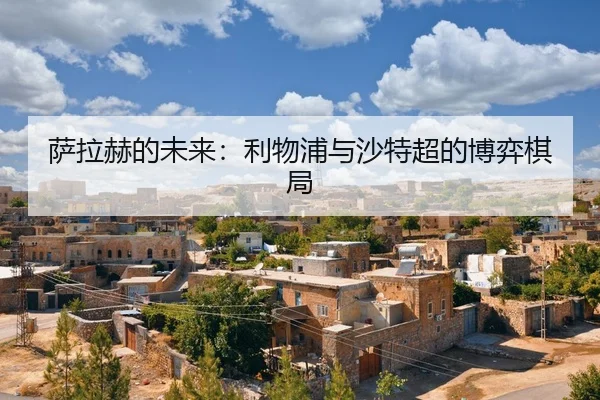 sa-la-he-de-wei-lai-li-wu-pu-yu-sha-te-chao-de-bo-yi-qi-ju-2-290.jpg
