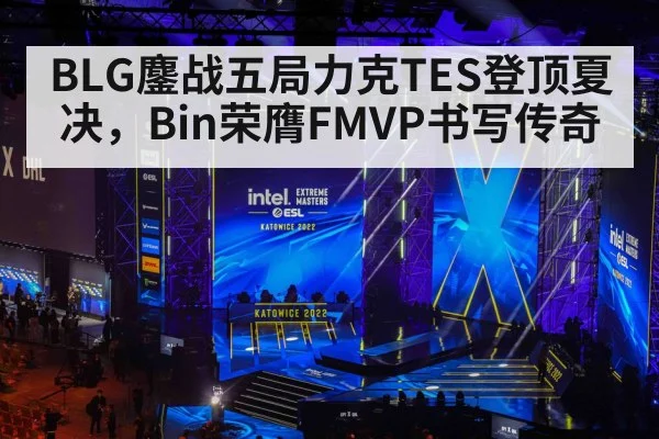 BLG鏖战五局力克TES登顶夏决，Bin荣膺FMVP书写传奇